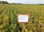 В Кара-Суйском районе маш успешно прошел испытания