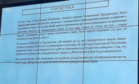 Представили Акыйкатчы предлагают повысить минимальный брачный возраст в КР