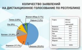 Выборы в местные кенеши. 9050 человек подали заявление на дистанционное голосование