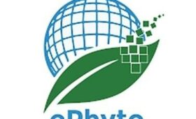 В КР в пилотном режиме запущена информационная система “PhytoKG”