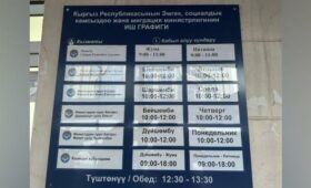 За 2024 год в Минтруда поступило почти 12 тыс. обращений