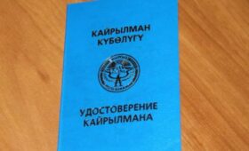 В 2024 году статус кайрылмана получили более 1200 этнических кыргызов