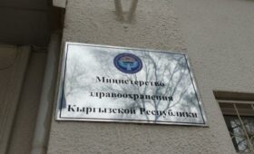 В Кыргызстане в новогодние праздники увеличился поток пациентов с ОРВИ