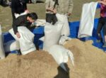 В Ноокенском районе начаты работы по восстановлению пастбищ