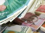 В 2024 году из республиканского бюджета по стимгрантам профинансированы 429 проектов на 984,2 млн сомов