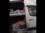 На КПП «Сосновка» выявлены незаконные перевозки пассажиров