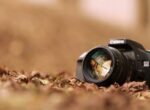 В Бишкеке откроется фотовыставка Рахата Керимбаева «Пантон счастья»