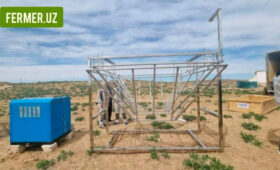 Фермеры в Узбекистане начнут искусственно вызывать дождь