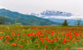 Молодежный климатический караван приглашает добровольцев из Кыргызстана