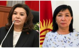 Имеет ли право замминистра здравоохранения быть национальным экспертом? — депутат