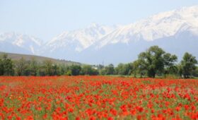 В начале мая кыргызстанцы будут отдыхать 11 дней подряд