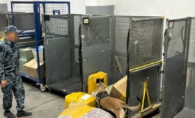 Праздник антинаркотической службы Кыргызстана — повод для гордости