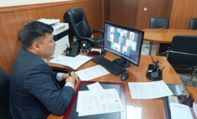 Кыргызстан и Казахстан обсудили мероприятия по борьбе с саранчой