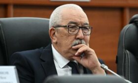 Никто не против требований к государственному языку, но и у официального языка есть свои возможности согласно законам, — депутат 