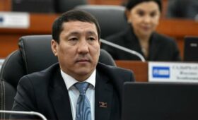 Депутат считает, что законопроектом о госязыке убирают некоторых кандидатов в депутаты