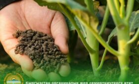 Кыргызстан откажется от минеральных удобрений в пользу органических