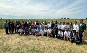 В Бишкеке прошли День поля и семинар по технологии нулевой обработки почвы