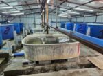 Минсельхоз Кыргызстана изучает водоемы на пригодность к разведению рыбы