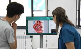 Кабмин ввел временные правила регулирования цен на коронарные стенты