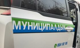 В центре Бишкека за парковку в зеленой зоне на 5500 сомов оштрафовали 8 водителей