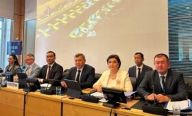 Зампредседателя Верховного суда приняла участие в защите доклада КР о выполнении конвенции о ликвидации всех форм дискриминации