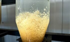 В Узгене запущен инкубационный цех по разведению рыбы