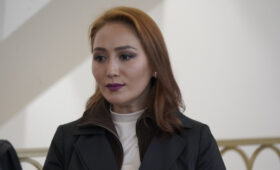 Светлана Аширова освобождена от должности директора цирка