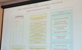 В Кыргызстане тестируют приложение для контроля качества лекарств
