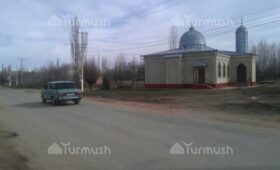 Село Кытай близ Каракола, где в свое время работал Торокул Айтматов, нуждается в ремонте внутренних дорог и детсаде, — депутат 