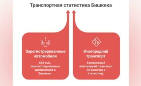 В Бишкеке хотят запустить пилотный проект платных парковок: что это значит для водителей?