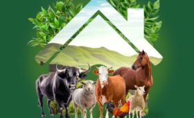 В КР запущена автоматизированная система учета племенных хозяйств