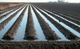 Первый поливной сезон в Кыргызстане завершился успешно