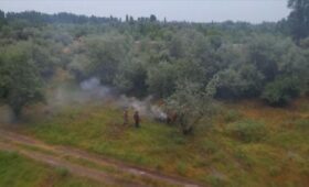 Кыргызстан и Казахстан провели совместные пожарно-тактические учения