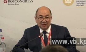 Посол КР напомнил РФ про соблюдение норм ЕАЭС при ужесточении миграции