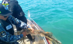 На Иссык-Куле 822 гостевых дома не подключены к очистным сооружениям