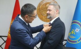 Глава МЧС наградил посла Швейцарии медалью «За укрепление военно-гражданского сотрудничества»