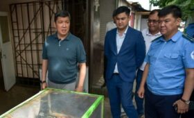 «Чымыны да учуп жүрөт»: Мэр Бишкека раскритиковал грязные кафе вокруг Ошского рынка