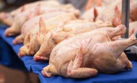 За 5 месяцев ветслужбой КР на границе выявлено 29 фактов нарушений