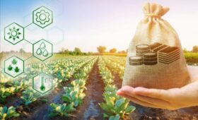 По проекту «ФСХ -13» выдано уже более 1,4 млрд сомов