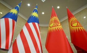 Кыргызстан и Малайзия будут сотрудничать в области здравоохранения