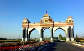 Змею, проникшую в дом в Джалал-Абаде, отпустили в безопасное место