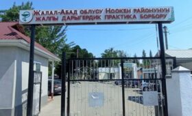 Незаконно проданный участок Ноокенской больницы возвращен государству