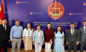В Верховном суде обсудили с главой УВКБ ООН в Кыргызстане защиту прав беженцев