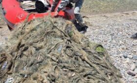 На озере Сон-куль проводятся рейды по борьбе с браконьерством