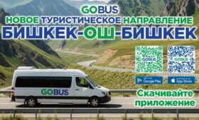 GoBus запустил новые маршруты из Бишкека в Ош и Талас (цены, расписание)