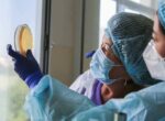 ГКНБ предлагает дать ему возможность проводить населению ДНК-исследования на платной основе 