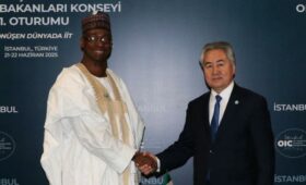 Главы МИД Кыргызстана и Нигерии обсудили вопросы установления и укрепления политического диалога