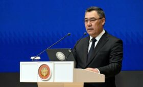 Cадыр Жапаров ответил на вопросы о журналистке Канышай Мамыркуловой