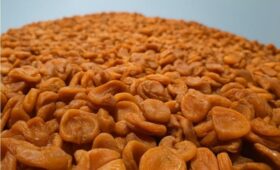 Первую партию сушенного абрикоса из Кыргызстана отправили в Китай