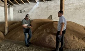 В Чуйской области проводится мониторинг семеноводческих хозяйств